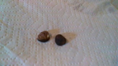 IMG-20161015-WA0001.jpg (41.84 KiB) Osservato 1188 volte IMG-20161015-WA0001.jpg