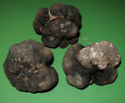 macro3.jpg (121.24 KiB) Osservato 1594 volte macro3.jpg