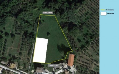 Questo il terreno con indicata l'altimetria e la parte già piantumata da piante micorizzate ad Aestivum / Terreno recintato.jpg Terreno recintato.jpg