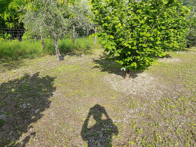 1gif.gif (380.62 KiB) Osservato 3447 volte 1gif.gif