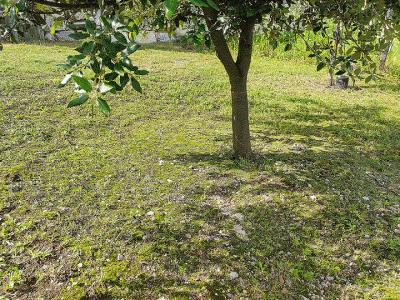 2gif.gif (341.63 KiB) Osservato 3447 volte 2gif.gif