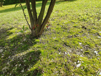 3gif.gif (341.75 KiB) Osservato 4218 volte 3gif.gif