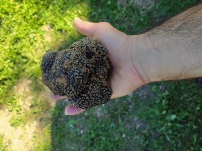 IMG_20240601_083038.jpg (90.99 KiB) Osservato 2988 volte IMG_20240601_083038.jpg