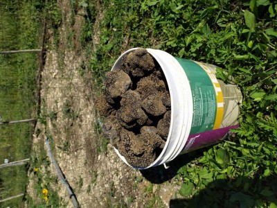 IMG_20240601_082734.jpg (184.28 KiB) Osservato 2988 volte IMG_20240601_082734.jpg