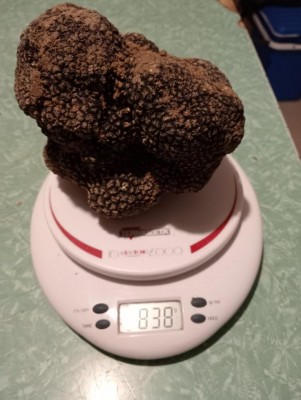 IMG-20240614-WA0029.jpg (78.07 KiB) Osservato 2851 volte IMG-20240614-WA0029.jpg