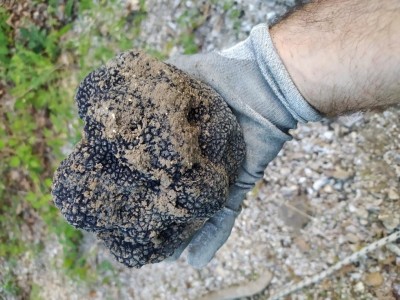 IMG_20240614_163559.jpg (139.55 KiB) Osservato 2851 volte IMG_20240614_163559.jpg