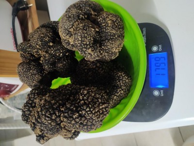 :)) / IMG_20250606_104511.jpg IMG_20250606_104511.jpg