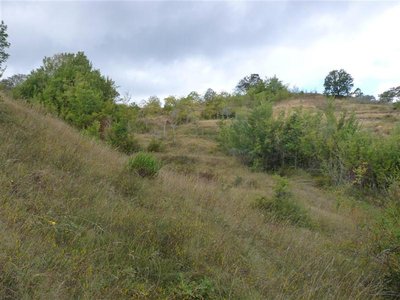 P1120582 (Large) (Medium).JPG (84.18 KiB) Osservato 1119 volte P1120582 (Large) (Medium).JPG