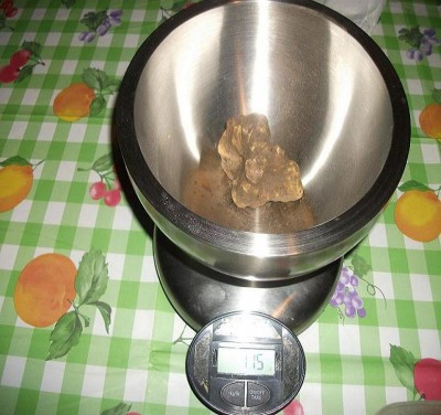 bianchi 2013 006.jpg (109.54 KiB) Osservato 1097 volte bianchi 2013 006.jpg