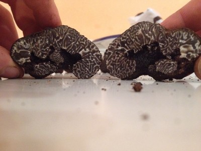 image.jpg (99.06 KiB) Osservato 1545 volte image.jpg