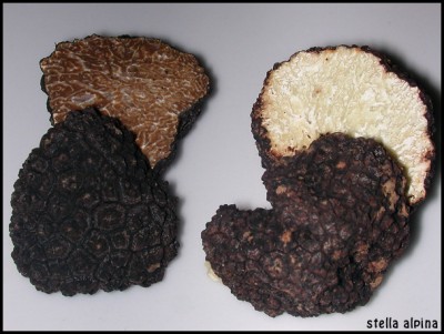 DSCN1749mod.jpg (116.94 KiB) Osservato 1503 volte DSCN1749mod.jpg