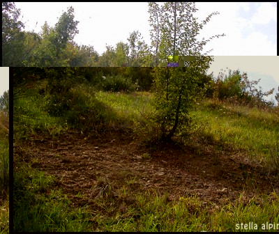 pianello.jpg (182.69 KiB) Osservato 4277 volte pianello.jpg