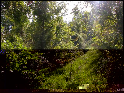 DSCN1630rit.jpg (253.51 KiB) Osservato 4277 volte DSCN1630rit.jpg