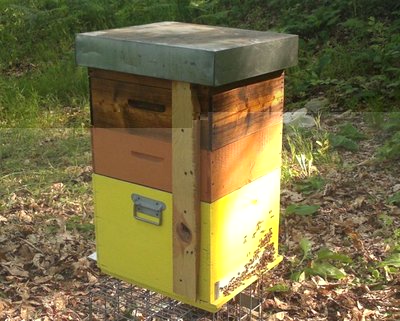 Arnia nomadismo.jpg (117.74 KiB) Osservato 2651 volte Arnia nomadismo.jpg