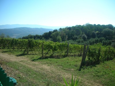 Camp Vigna.JPG (225.02 KiB) Osservato 1058 volte Camp Vigna.JPG