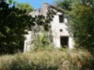 P8170082.JPG P8170082.JPG