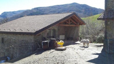 Fienile-stalla (anch'essa allestita rispettando le normative relative ai regolamenti relativi agli allevamenti in regime di agricoltura biologica) + laboratorio / 20170301_114953.jpg 20170301_114953.jpg