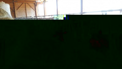 Particolare stalla realizzata in conformità con le più recenti normative relative agli allevamenti in regime di agricoltura biologica / 20170301_120532.jpg 20170301_120532.jpg