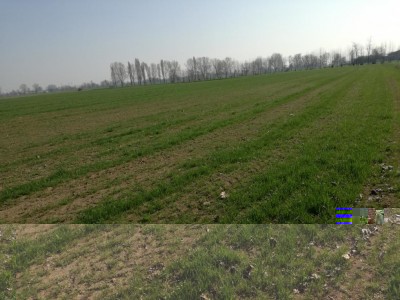 Primo appezzamento / IMG_20170314_104131.jpg IMG_20170314_104131.jpg