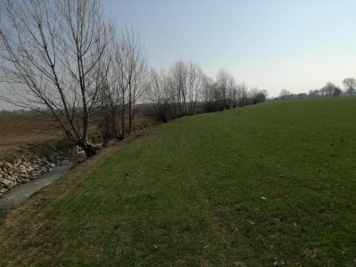 Secondo appezzamento / IMG_20170314_112546.jpg IMG_20170314_112546.jpg