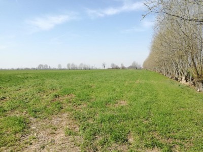 Terzo appezzamento / IMG_20170314_121233.jpg IMG_20170314_121233.jpg