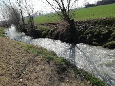 Tutti gli appezzamenti risultano essere affiancati da canali di irrigazione potendo cosi permettere la coltivazione di innumerevoli colture / IMG_20170314_112448.jpg IMG_20170314_112448.jpg