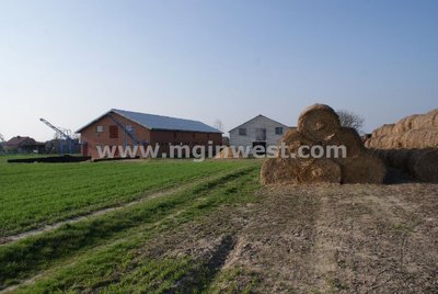 a168204_640_480_1.jpg (61.78 KiB) Osservato 6256 volte a168204_640_480_1.jpg