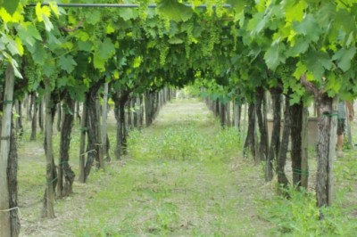 foto4.jpg (186.35 KiB) Osservato 1118 volte foto4.jpg