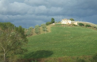 Visibile il casolare, parte di Uliveto, Vigneto e seminativo. / campalight.JPG campalight.JPG