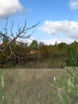 terra terra 033 pix.jpg (121.29 KiB) Osservato 656 volte terra terra 033 pix.jpg