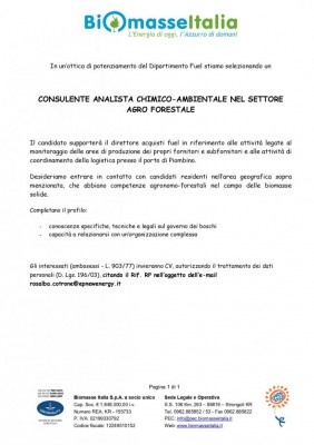 annuncio_consulente_fuel_Piombino_page-0001.jpg (72.47 KiB) Osservato 685 volte annuncio_consulente_fuel_Piombino_page-0001.jpg