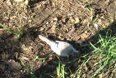 IMG 3.jpg IMG 3.jpg