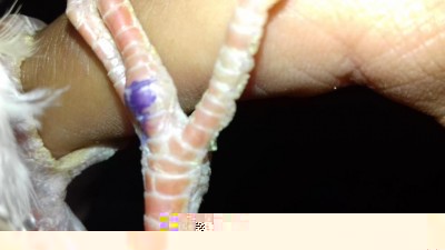 20180706_183555.jpg (38.68 KiB) Osservato 1943 volte 20180706_183555.jpg