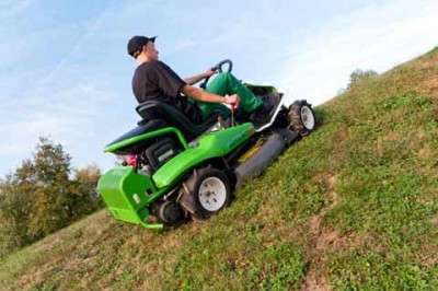 Etesia Attila.jpg (23.02 KiB) Osservato 2307 volte Etesia Attila.jpg