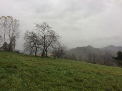 campo 2 Langasco.jpeg (76.62 KiB) Osservato 2282 volte campo 2 Langasco.jpeg