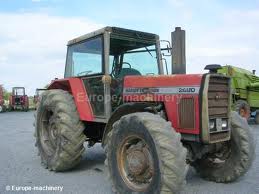 massei.jpg massei.jpg