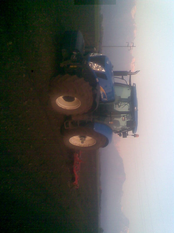 Immag005(1).jpg Immag005(1).jpg