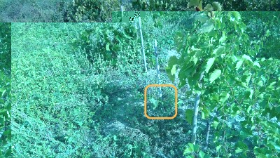 bbbpic.jpg (295.44 KiB) Osservato 724 volte bbbpic.jpg