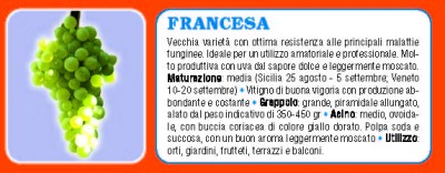 Francesa.jpg (44.42 KiB) Osservato 592 volte Francesa.jpg