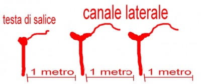 quale.jpg (70.64 KiB) Osservato 729 volte quale.jpg