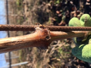 IMG_0699.JPG IMG_0699.JPG