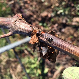 IMG_0713.JPG IMG_0713.JPG