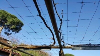 20151227_131648_resized.jpg (147.61 KiB) Osservato 552 volte 20151227_131648_resized.jpg