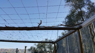 20151227_131616_resized.jpg (172.78 KiB) Osservato 552 volte 20151227_131616_resized.jpg