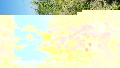 Syrah / 20160607_094218.jpg 20160607_094218.jpg