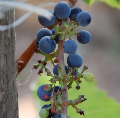 254.JPG (176.35 KiB) Osservato 491 volte 254.JPG