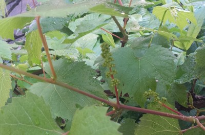 255.jpg (183.28 KiB) Osservato 491 volte 255.jpg