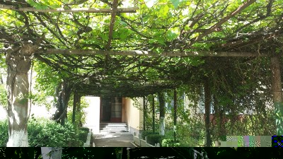 256.jpg (270.2 KiB) Osservato 491 volte 256.jpg