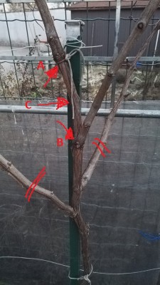 IMG_20170126_173626.jpg (133.09 KiB) Osservato 560 volte IMG_20170126_173626.jpg