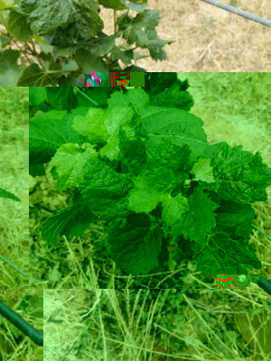 IMG_20170624_131248.jpg (129.17 KiB) Osservato 528 volte IMG_20170624_131248.jpg